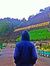 Wahyu H...