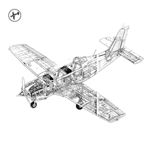 Javiera Cárcamo Bustos