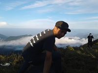 Ari Prayitno