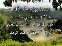 Yusuf Abdallah Gombe