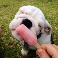 รักแม่ ที่สุดในโลก