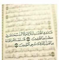 Nouran Adel