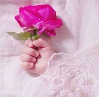 بلسم البلسم