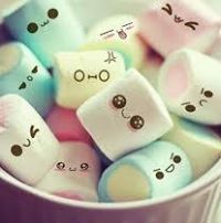 آلاء الحجافي