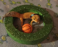 Francesca ReadingGecko