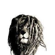 حمزة التركي