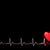Cardiology Basics