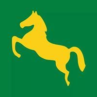 زيزو الشبراوى ابو هيبه