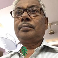 Ramanan K