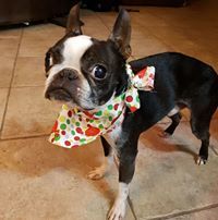 Gillian MacDonald-Rigden