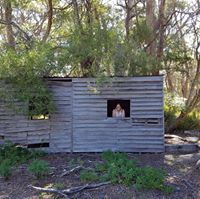 Alexia Schramm-Clark