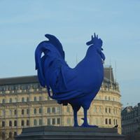 Robert Mann-Thompson