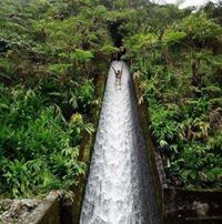 نجلاء محمود