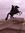Wayne W...
