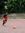 Aditya W