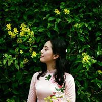 Lê Linh