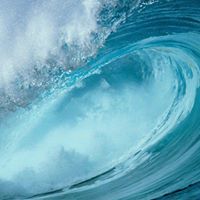 تركي القربان