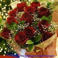 ساجده المومني