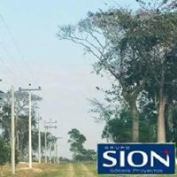 Carlos Rodriguez Mayori