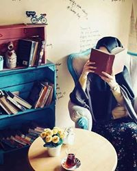 فراشة الاحلام