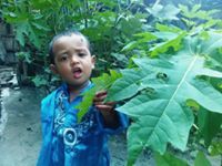 Hannan Babu