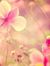 Reham W...