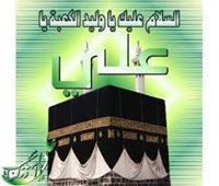 فاضل الناجي