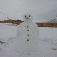 Мөнхөө Пүрэв