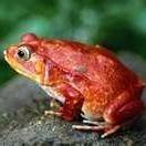 Nancy Richards-Eisener