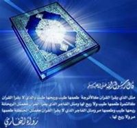 Doaa Mohamed