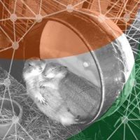 Seethalakshmi Sridhar