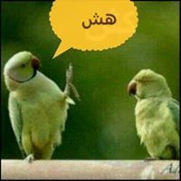 المدربه العالم