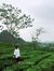 Huỳnh H...