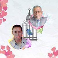 ايمان الغنيمي