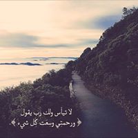 محمد الحربي