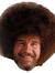 BobRoss'sCooluncle