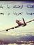Ahmad D...