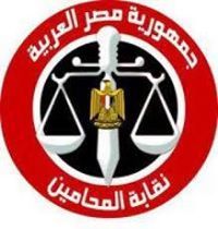 اشرف الشربينى