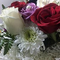 شيخة القيدوم