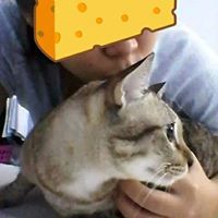 ภัคณัณ ศรน้อย