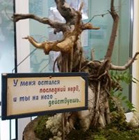 Мария Кузнецова