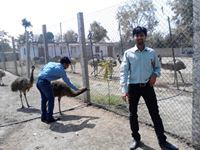 Pankaj Wankhede