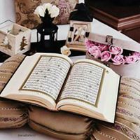 وضہۣۗہہۣۗہاح مہۣۗہحہۣۗہمہۣۗہد