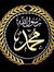 Ahmed S...
