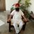 Charanjit Payal