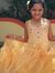 Smita P...