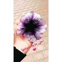 Nermine Nabil