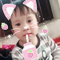 Lý Trịnh
