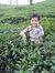 Vishal ...