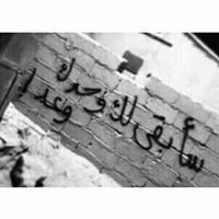 مالك الهواري